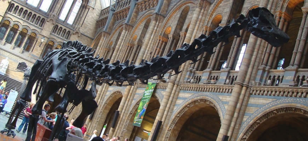 Il Museo di Storia Naturale