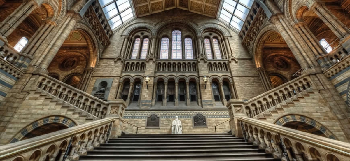 Musei e gallerie a Londra